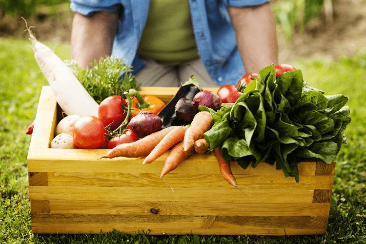 Alimentos frescos e ao alcance da sua mão