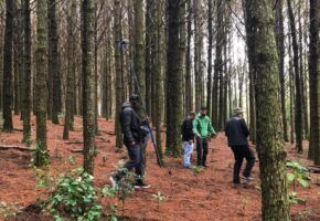 Expedição Fartura | A caça ao cogumelo em Joinville