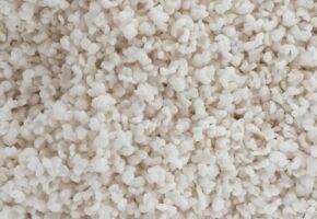 Torrada de tapioca direto de Belém