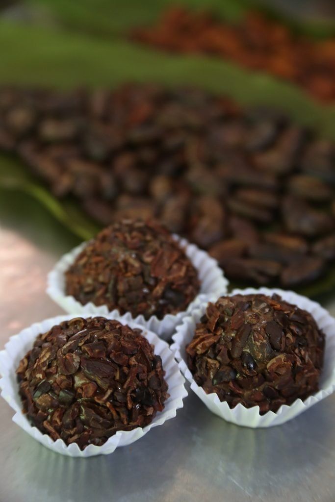 Receita de Brigadeiro da Floresta