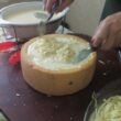 Receita de Massa na Panela de Queijo d’Alagoa