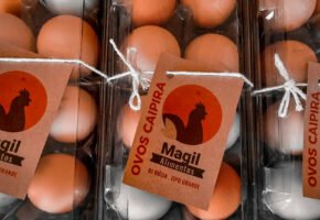 Alimentos Magil