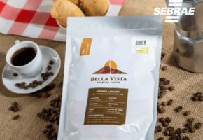 Bella Vista Premium Coffee – Café Especial