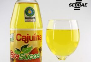 Brasucos Cajuína