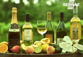 Associação Progoethe – Vinhos, Frisantes e Espumantes