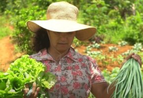 Origem ao Prato – Agroecológicos Zé Miúdo