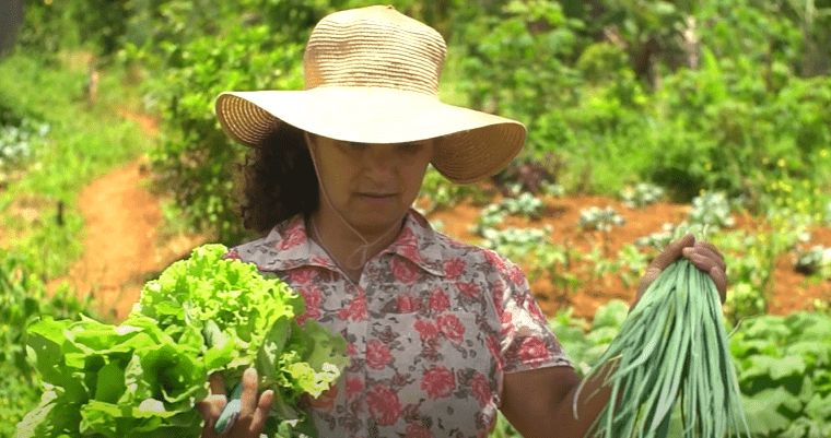 Origem ao Prato – Agroecológicos Zé Miúdo