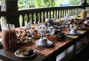 Café Sertanejo: uma tradição do estado de Goiás