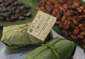 Você conhece o Chocolate da ilha de Combú?