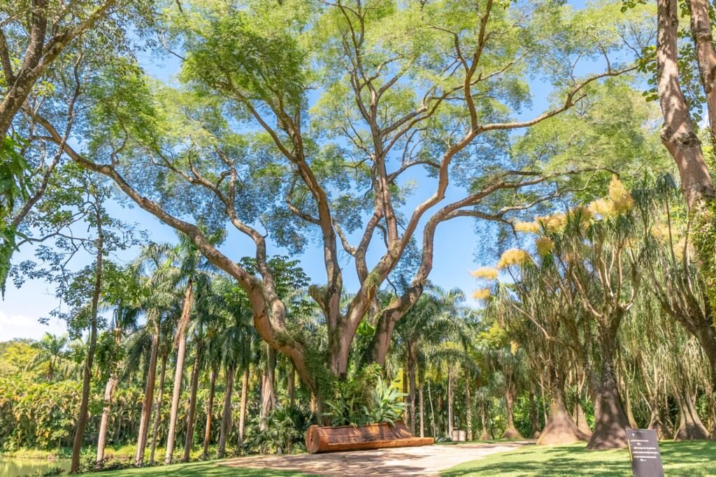 Vai no Festival Fartura Gastronomia no Inhotim? Confira 3 jardins temáticos que você não pode deixar de conhecer