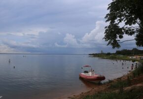 Os peixes do Tocantins