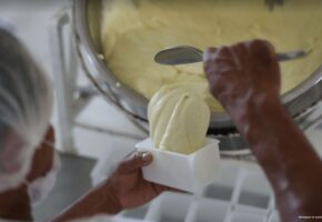 Direto do Pará: conheça o Queijo Marajoara