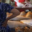 Saiba mais sobre a Pescada Amarela direto do Maranhão